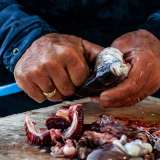 Conosciuto come "Chianello", � impegnato nella pulizia dei saraghi